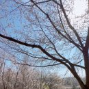 호서대학교 예술관 이미지