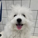 반자주 진해점 이미지