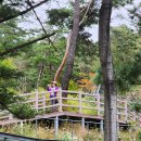 루카농장 이미지