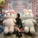 밤마리오광대주막촌 | 일본 오사카/교토 5박6일 신혼여행 다녀옴! (1)