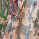 우화등선 이미지