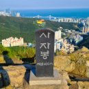 황령산유원지 생태숲 이미지
