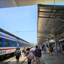 버스정류장(해소의숲공원) 뒤 | 베트남 퐁냐케방 국립공원 동굴 탐험 oxalis adventure 1박2일 투어 후기 (1)