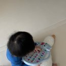 두돌아기 말트이는 시기 장난감 블루래빗스마트 가방후기