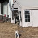 배때기네하우스 이미지