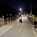 약골자전거도로 이미지