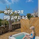 소다라 타이니 하우스