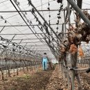 해찬농장 이미지