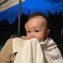 요트앤밸리 이미지