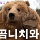 연옥 이미지