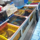 삼천포상회 - 포항시 북구 죽도시장13길 1-8 | 삼천포상회