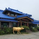 청기와식육 이미지