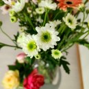 화해농장 이미지