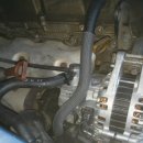 현대카쎈타 이미지