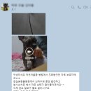 마로동물병원 이미지