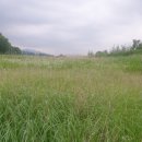 고갯마루 이미지