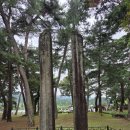 최초의 사액서원 '소수서원' [한국의 서원①] 이미지