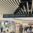 잠실 놀거리 롯데월드 아이스링크 다녀온 후기 (할인, 대여료 정보)