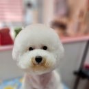 오늘도 너에개 이미지