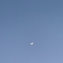 핑계치킨 이미지