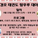 경호태권도스쿨 이미지