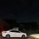 댕댕이블루스 이미지