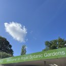 큐&정원 | [런던 여행] 큐 왕립식물원 후기 꿀팁 유네스코세계문화유산 Kew Gardens