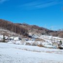 장행닷컴 행정사사무소 이미지