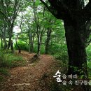 지암민박 이미지