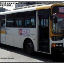 39번종점 이미지