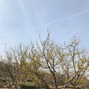 의료법인 수강 의료재단 이미지