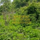 경기도 안성시 일죽면사무소 이미지