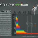 용인대 합기도 이미지