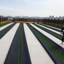 매트코리아 이미지