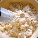 허니비스킷 이미지