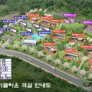 스파 미라클 네이버블로그