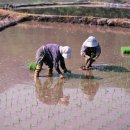 부천시축산물공판장 이미지