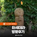 천본 | 도쿄 근교 가마쿠라 당일치기 가볼만한곳 하세데라 방문후기 절 입장료 정보