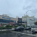 강서구-50 이미지