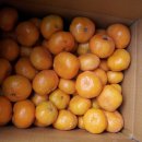 솜반천로 Daum카페