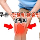 무릎 '관절염 탈출법' 총정리 이미지