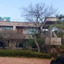 김판쇠전주우족탕중인점