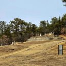 성석린 선생 묘 이미지