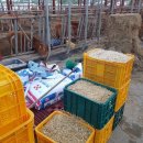 박재덕 농장 이미지