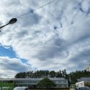 조산농장 이미지