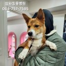내사랑동물병원 네이버블로그