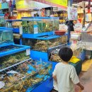 마포농수산물시장화장실 이미지