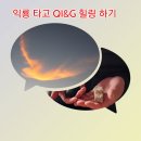 익룡 타고 QI&amp;G(양자지능과 중력) 힐링하기 이미지