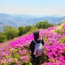 선암사 | 부산 백양산 애진봉 철쭉 선암사 등산코스 후기