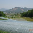 채식농장 이미지